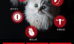 料理猫爆料视频大全